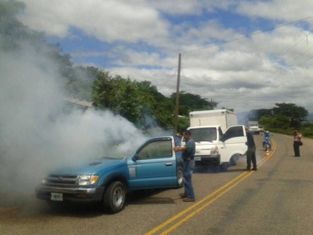 Honduras: Con cerco epidemiológico combatirán chikungunya