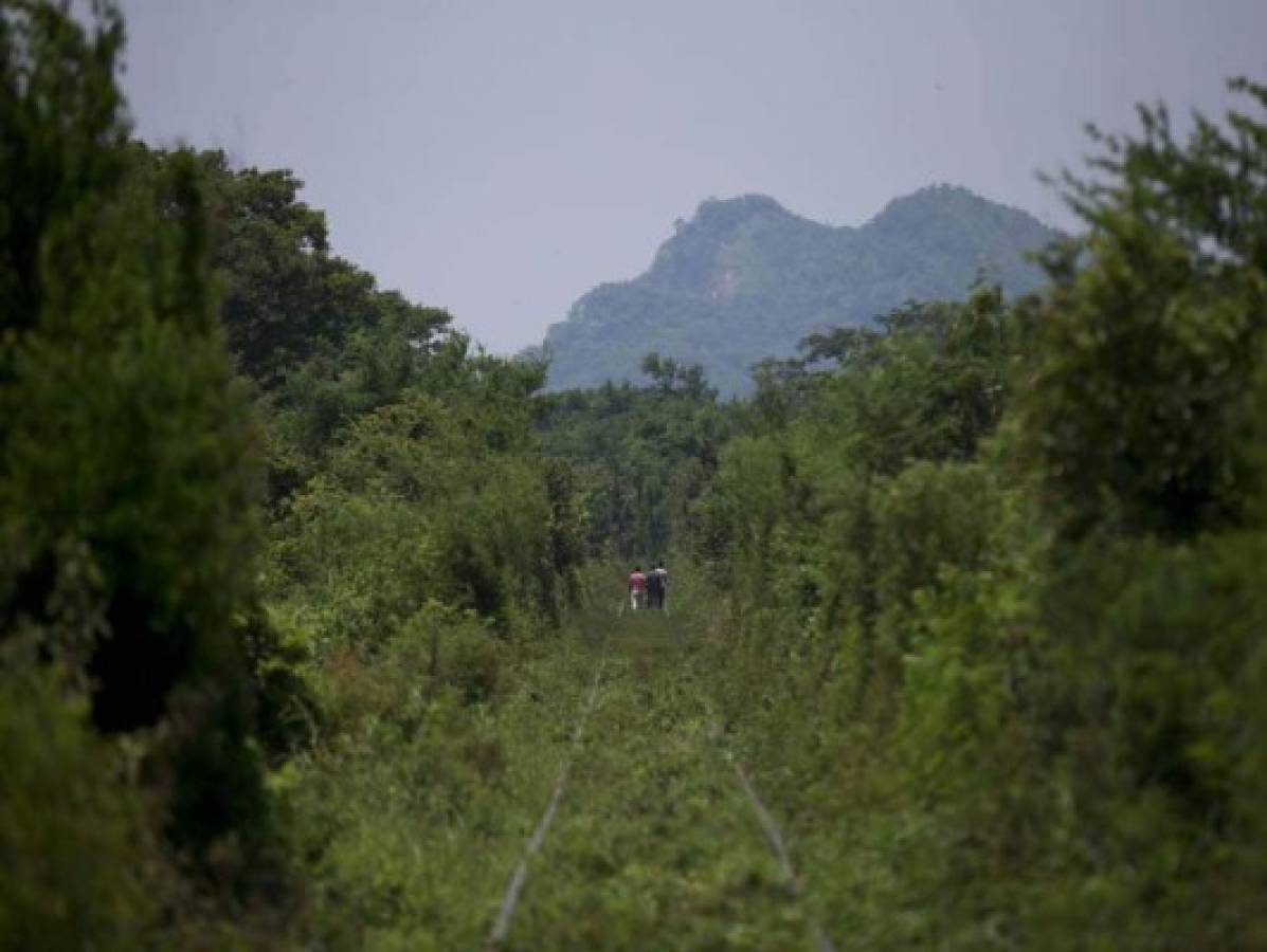 Migrantes buscan nuevos lugares para subir a tren   