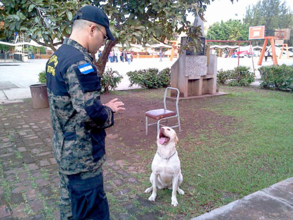 Ambiente electoral en la capital de Honduras