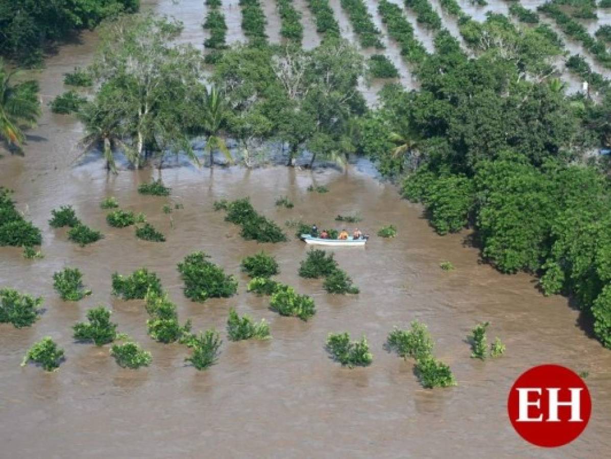 Inundación de valle de Sula golpea producción nacional