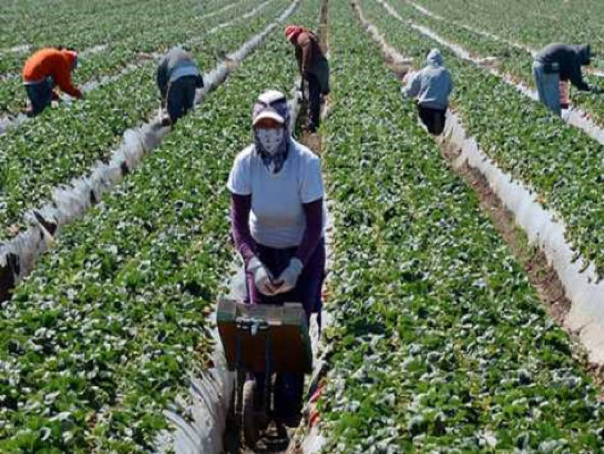 Inmigración preserva empleos y revive zonas rurales en EEUU