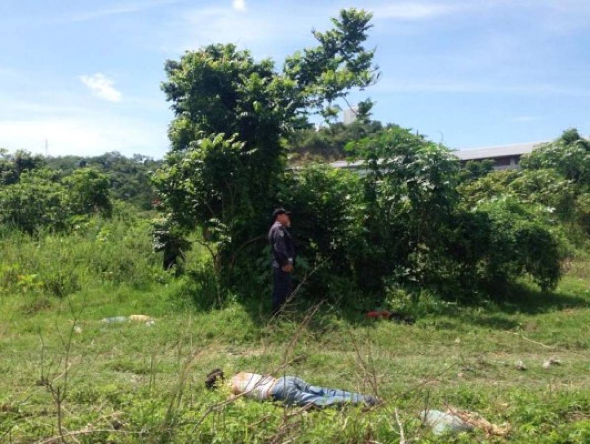 Honduras: Hallan cuatro cadáveres en solar baldío