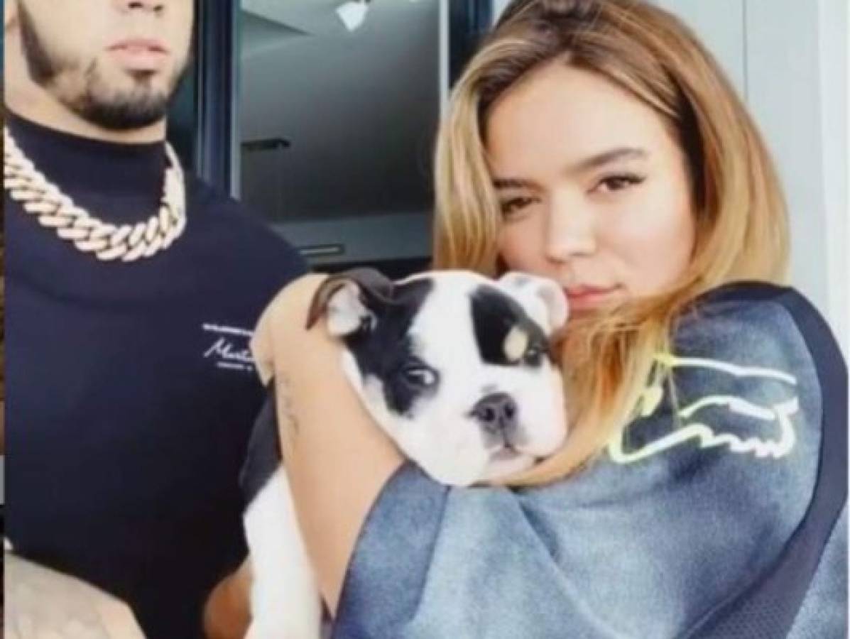 Karol G se disculpa por usar foto de su perro para promover igualdad racial