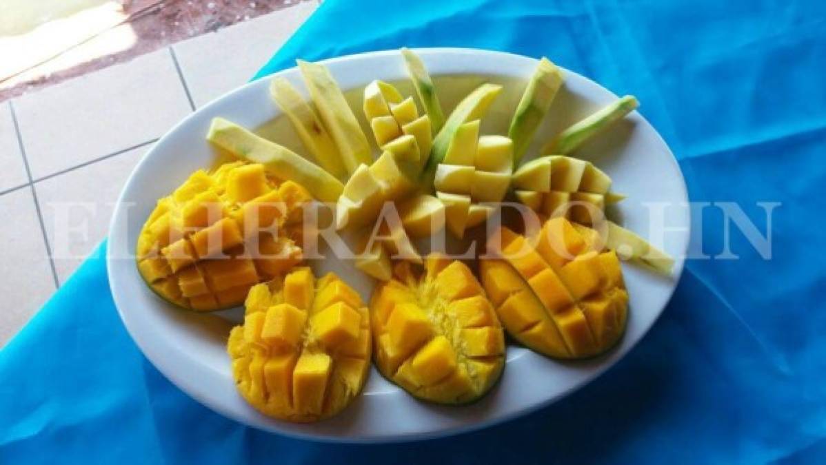 Deliciosa gastronomía ofrece el sur de Honduras en esta termporada