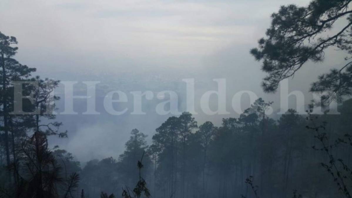 Por aire y tierra combaten el incendio en El Hatillo