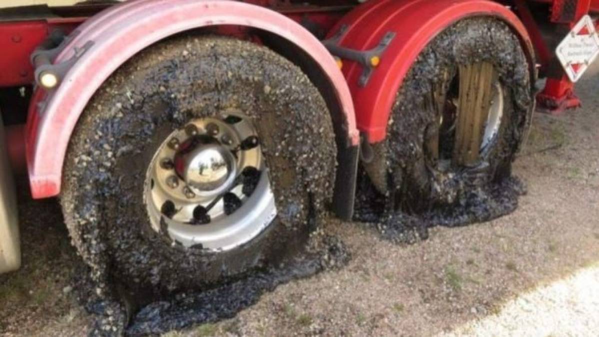 FOTOS: Huevos cocidos, llantas derretidas y animales muertos deja intensa ola de calor en Australia