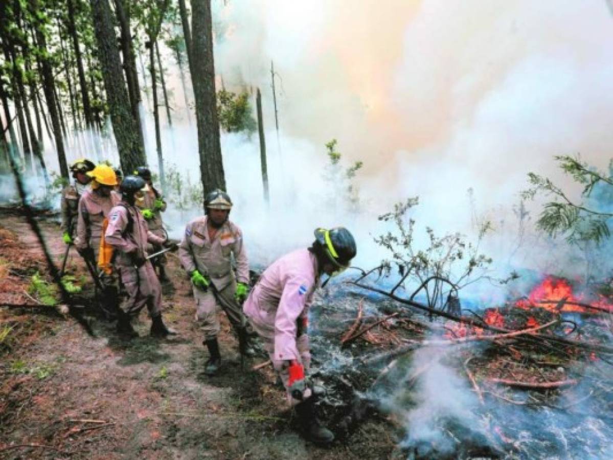 A 45 suben los incendios forestales en la capital de Honduras