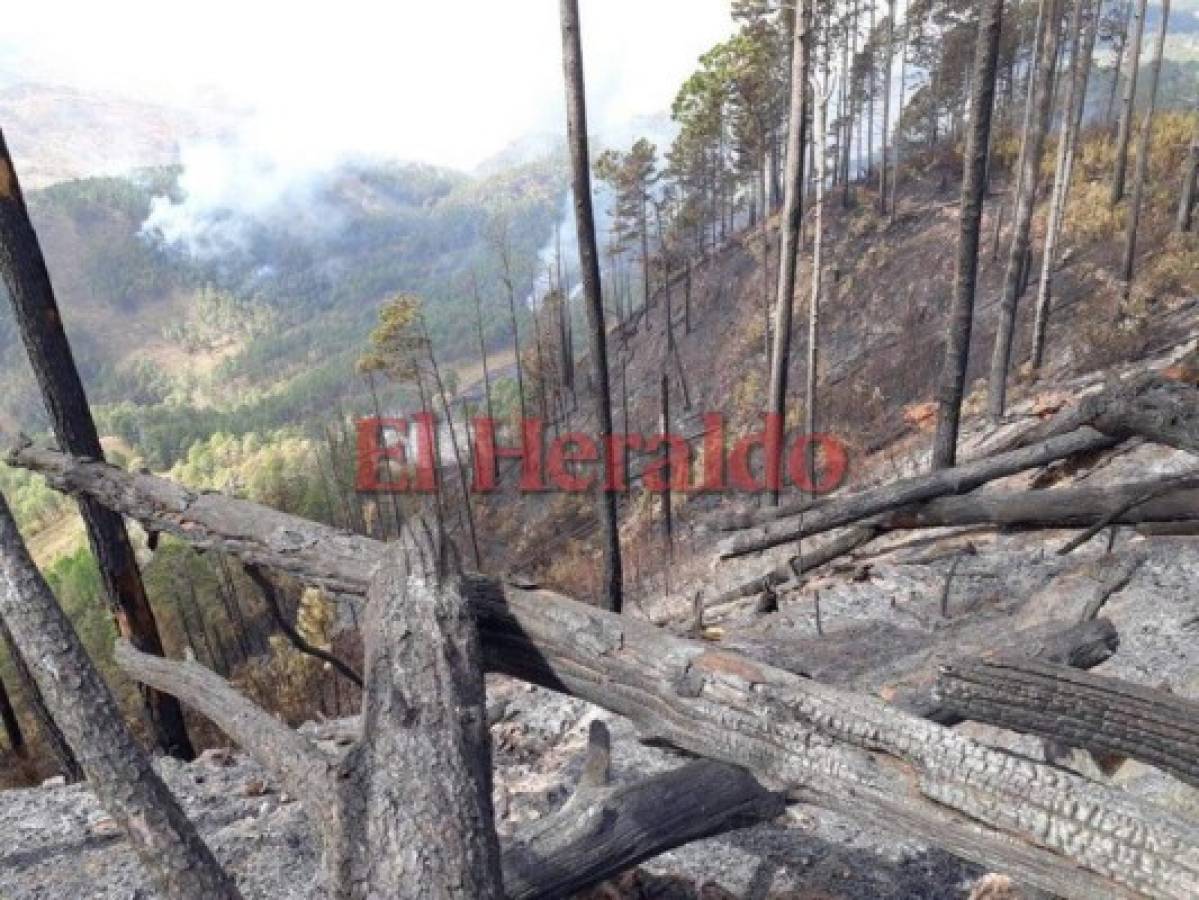 No cesa incendio en El Hatillo; llamas ya consumieron unas 180 hectáreas