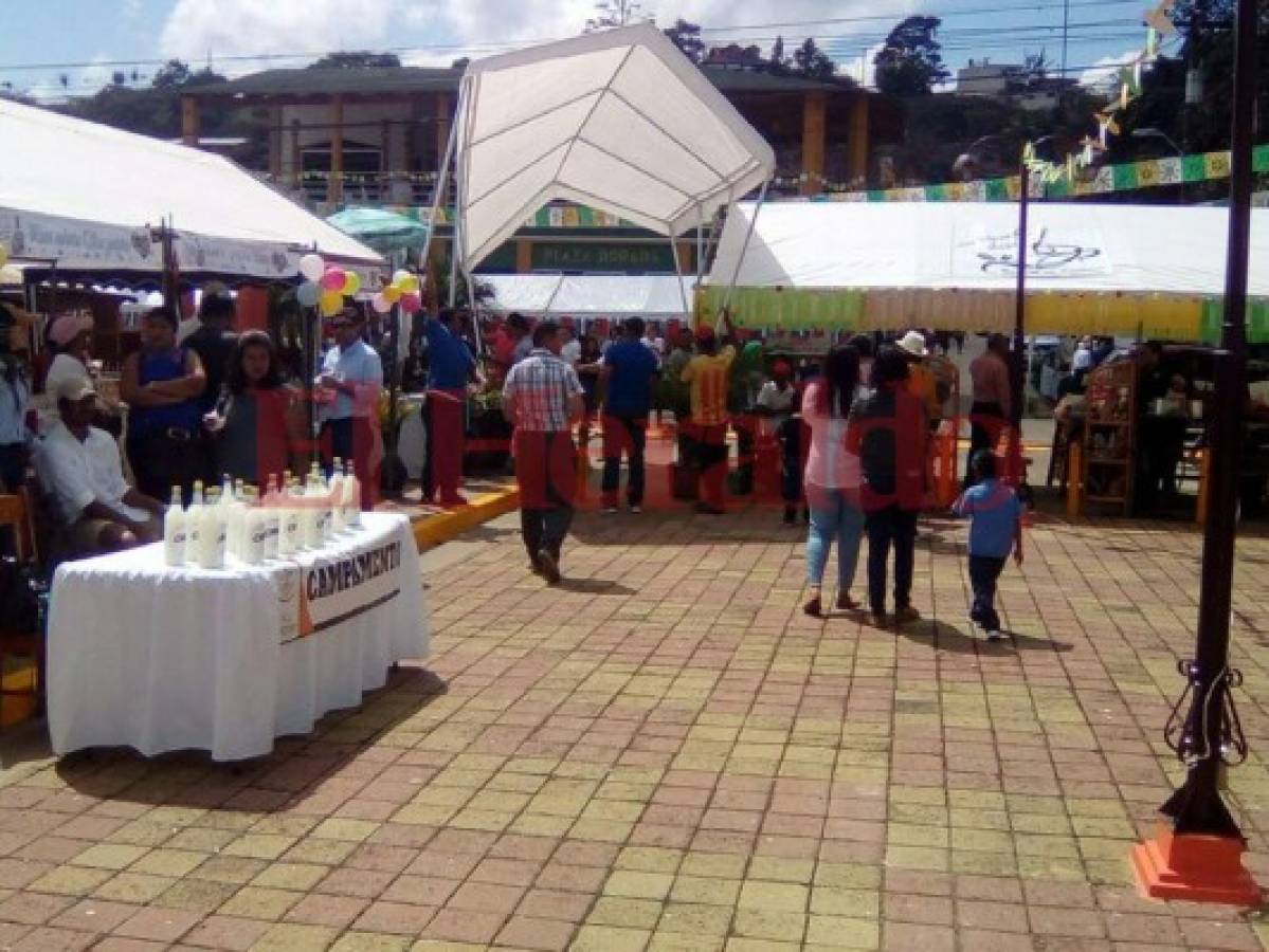 Olanchanos disfrutan al máximo el II Festival de Vino de Coyol