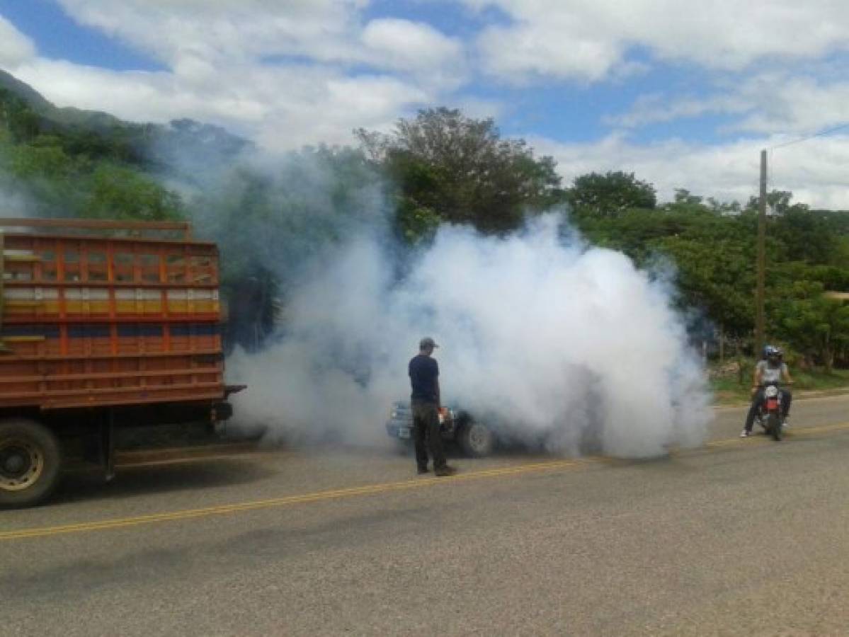 Honduras: Con cerco epidemiológico combatirán chikungunya