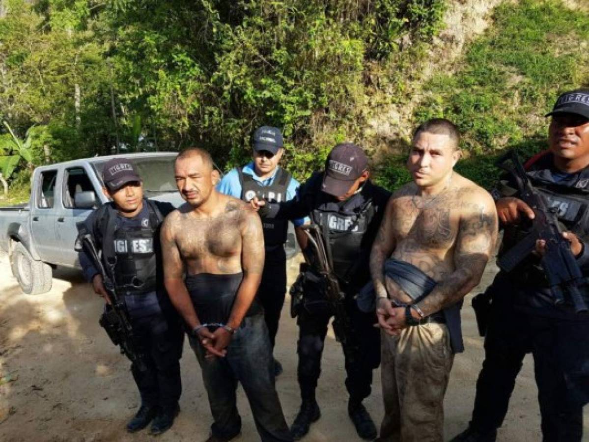 Capturan a ocho peligrosos integrantes de la Mara Salvatrucha (MS-13) en El Negrito, Yoro