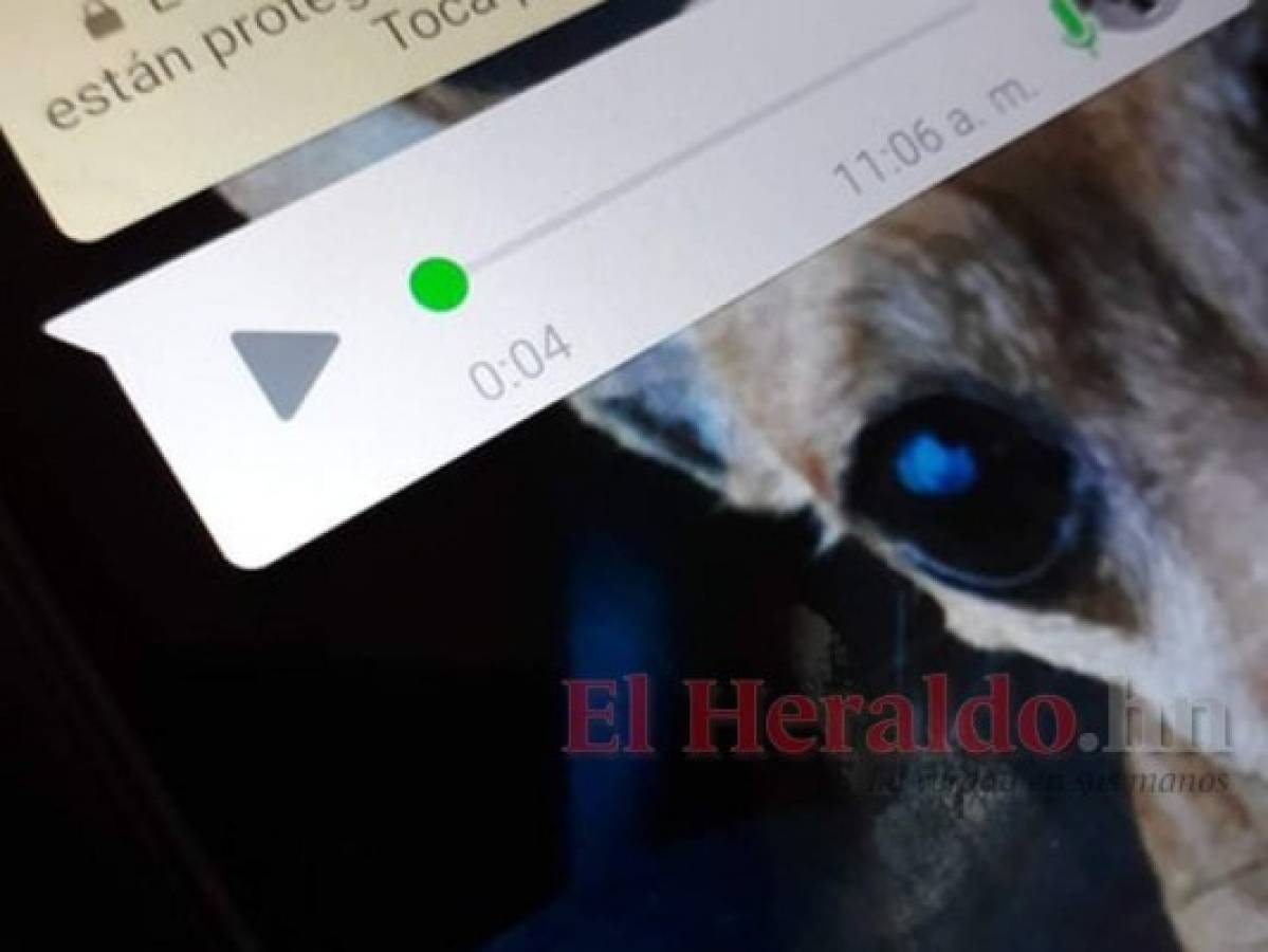 ¿Cómo escuchar un audio de WhatsApp sin que nadie lo sepa?