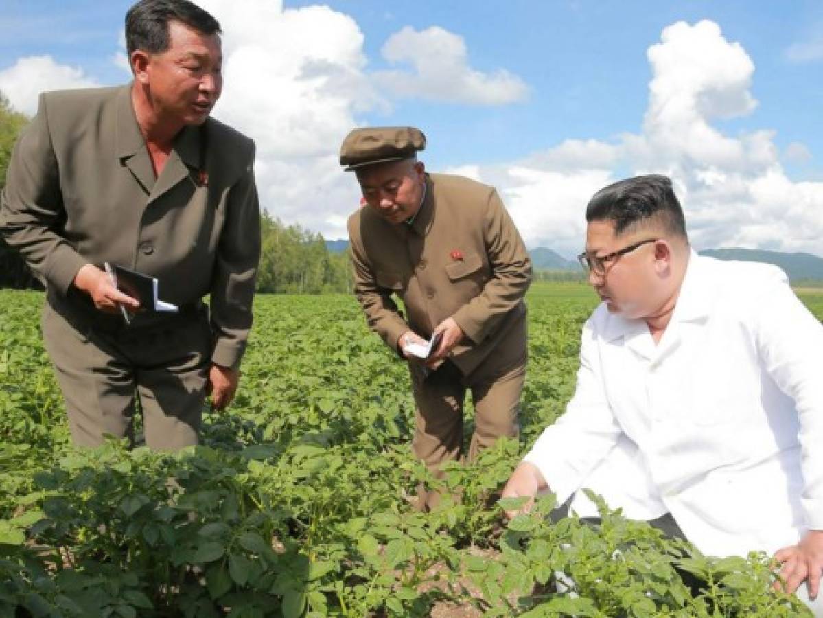 ¿Kim Jong Un prefirió visitar un cultivo de papas que reunirse con Mike Pompeo?