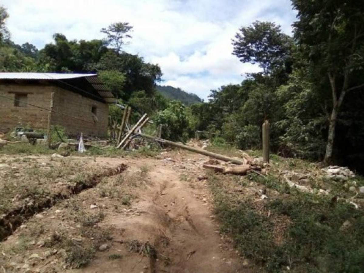 EEH atiende daños por las constantes tormentas y sigue mejorando la red a través de mantenimientos