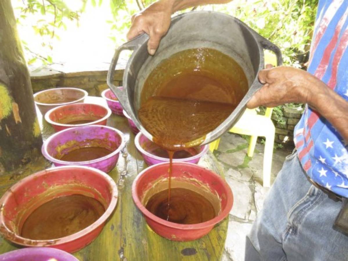 Taulabé y San José, la tierra del dulce