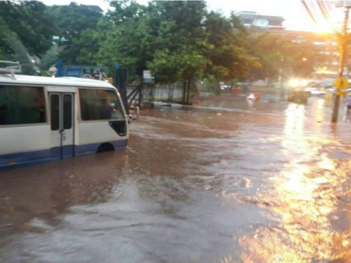 Tegucigalpa: Inundación en La Alameda por desborde de quebrada