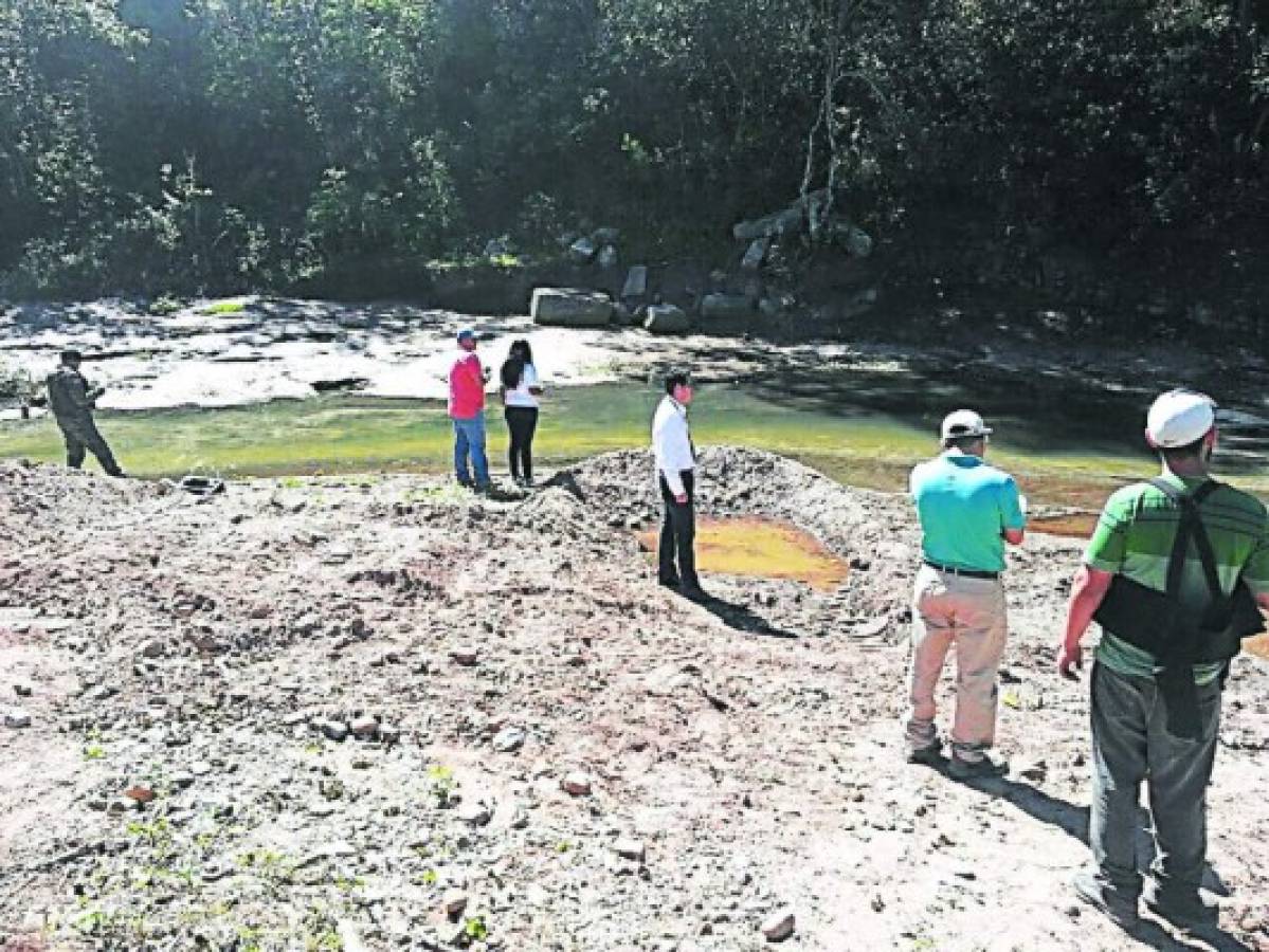 El MP comienza pesquisas por masiva muerte de peces