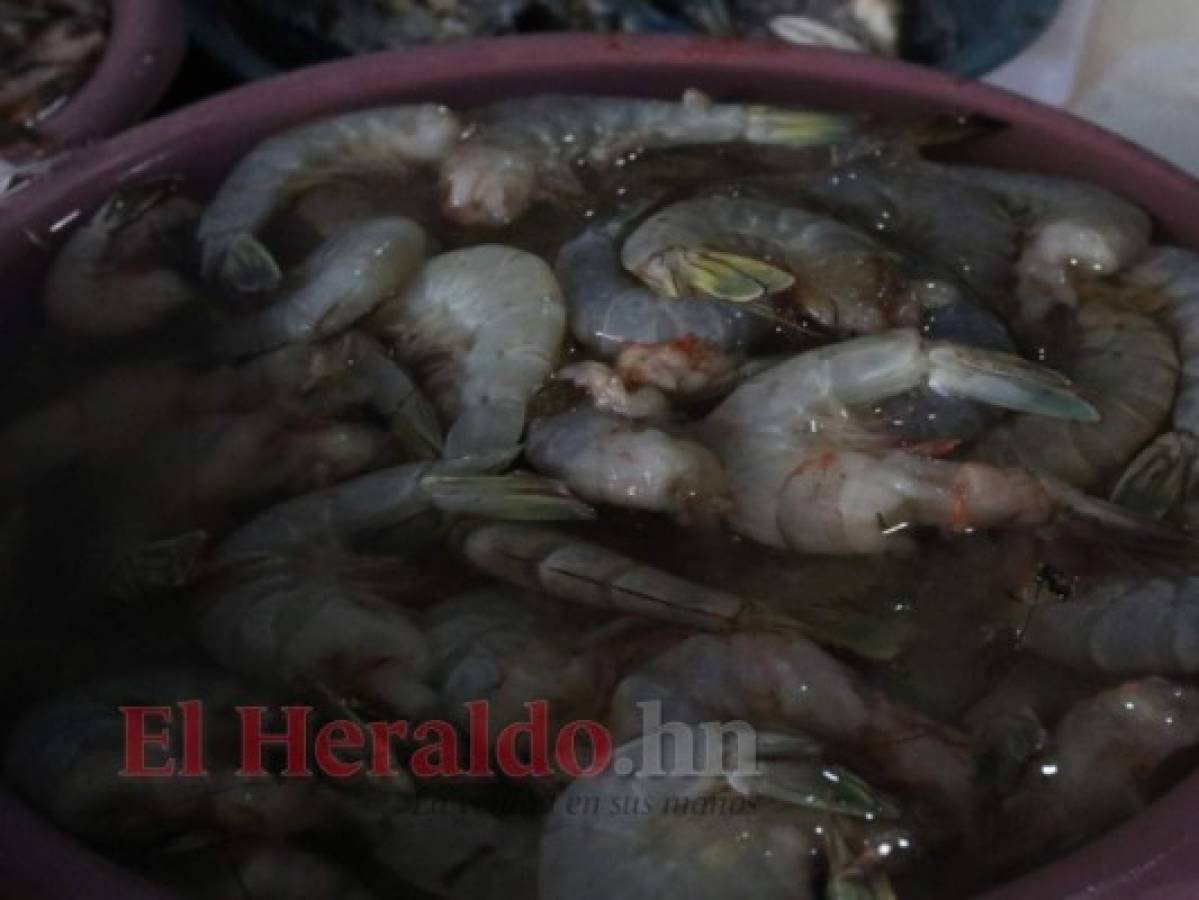 Honduras: Advierten de escasez de camarones en los mercados capitalinos