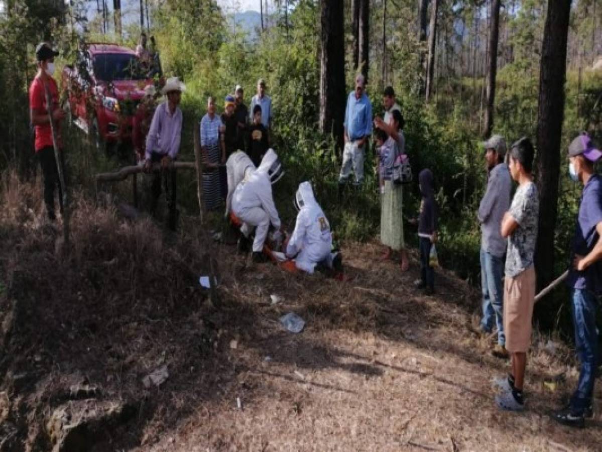 En estado crítico rescatan a octogenario picado por abejas en Siguatepeque