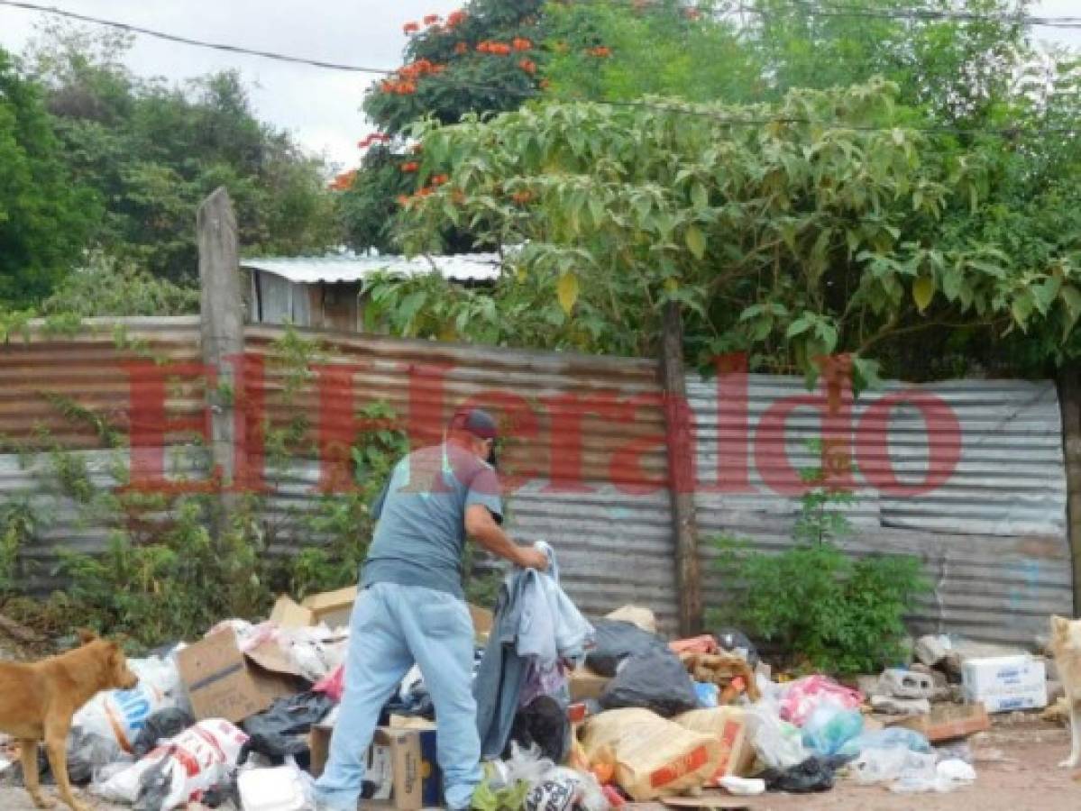 En la capital de Honduras hay un contenedor de basura por cada 4,524 personas
