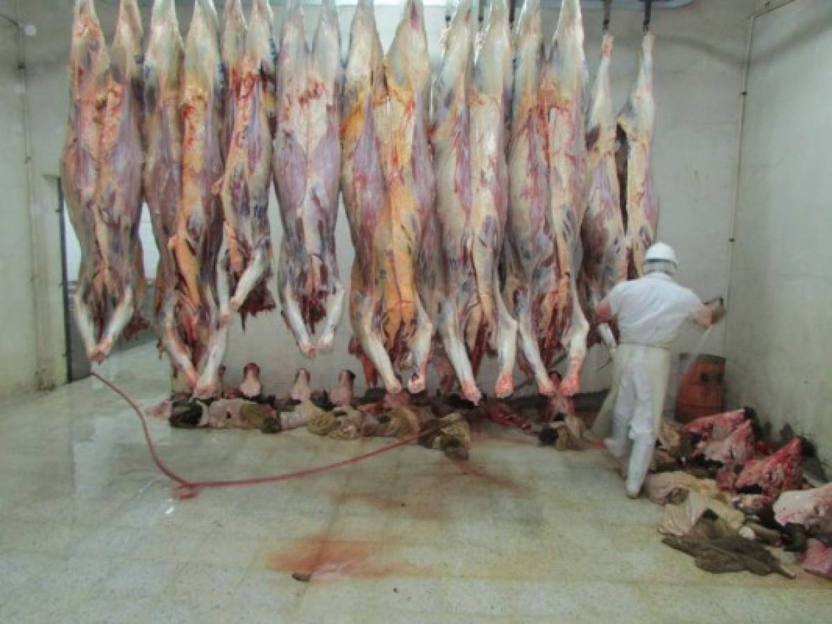 Escasez de ganado dispara precios de la carne de res en más de L 10
