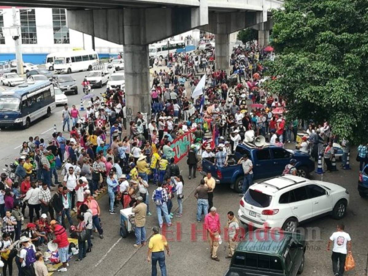 Plataforma de Salud y Educación realiza movilizaciones en la capital de Honduras