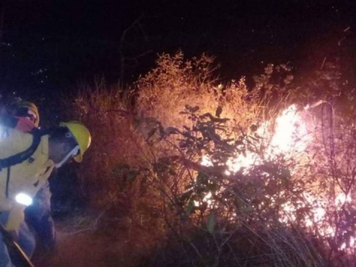 Incendio hizo arder el cerro El Trigo por 10 horas en la capital de Honduras