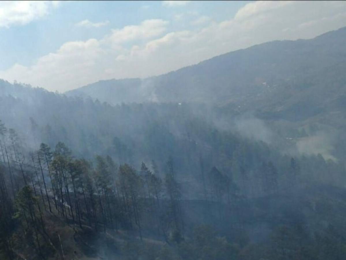 Fuego provoca daños en unas 80 hectáreas de bosque en Zarabanda