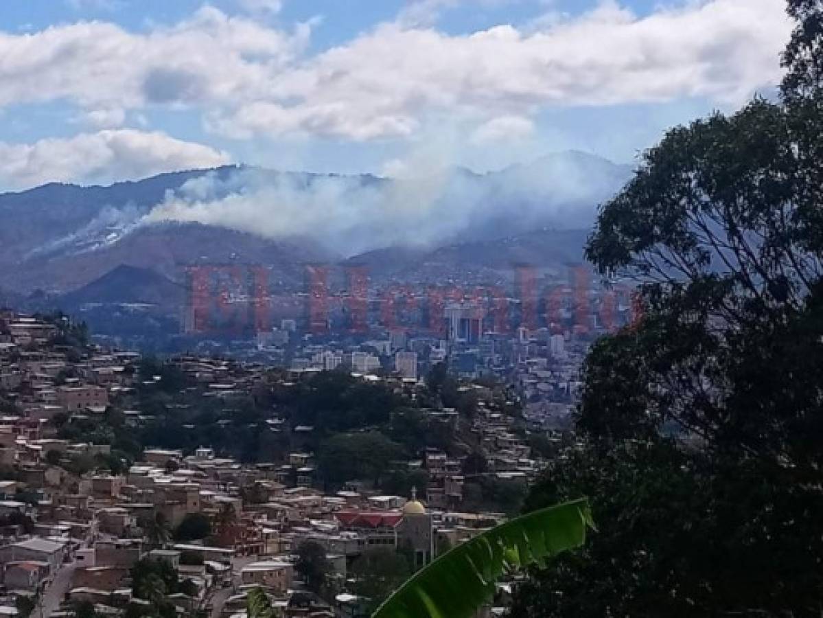 Incendio hace arder maleza de cerro localizado en las cercanías de Santa Lucía  