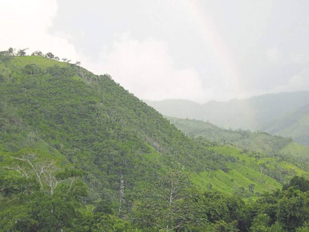 Congreso aprueba un nuevo refugio de vida silvestre