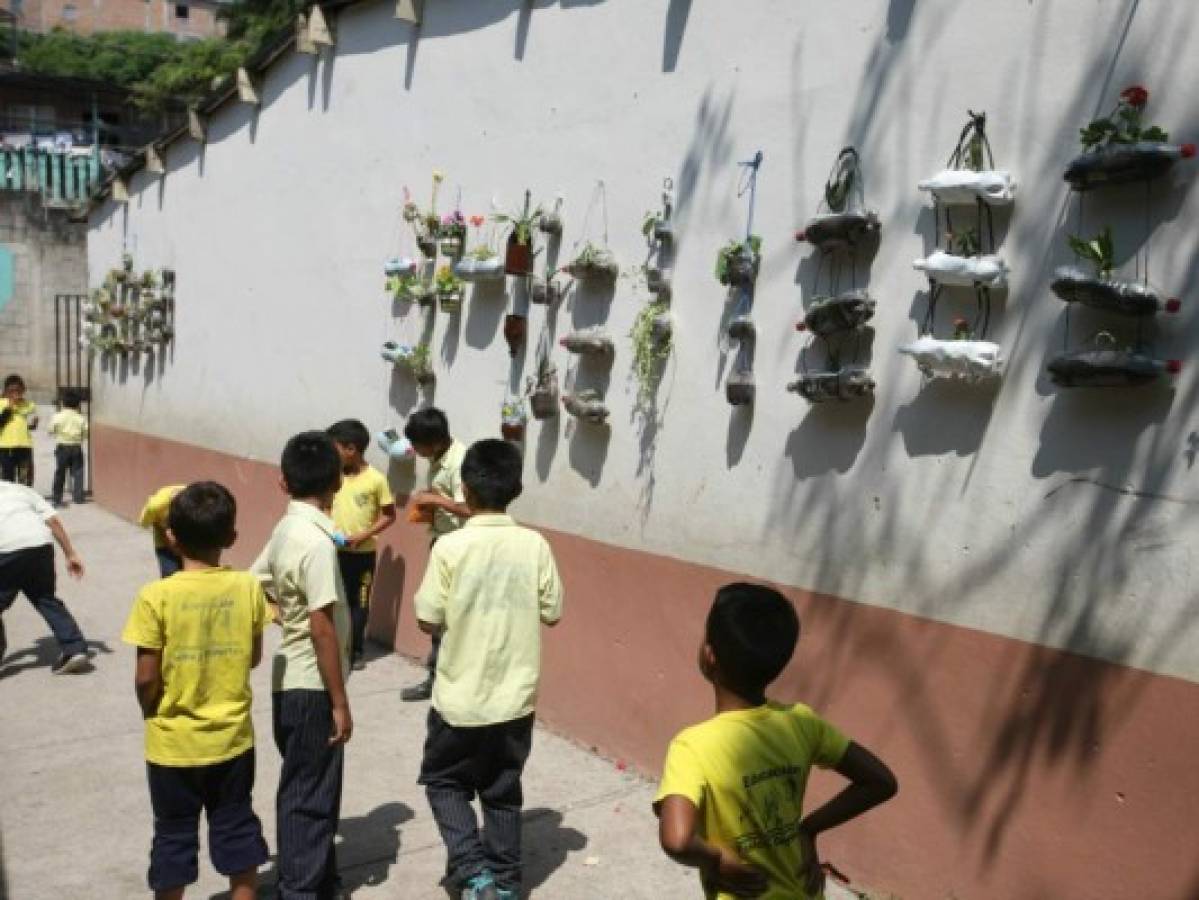 ¡Enhorabuena! Héroes escolares salvan al planeta