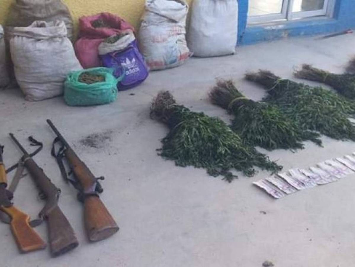 Decomisan armas y 500 plantas de marihuana en Yoro