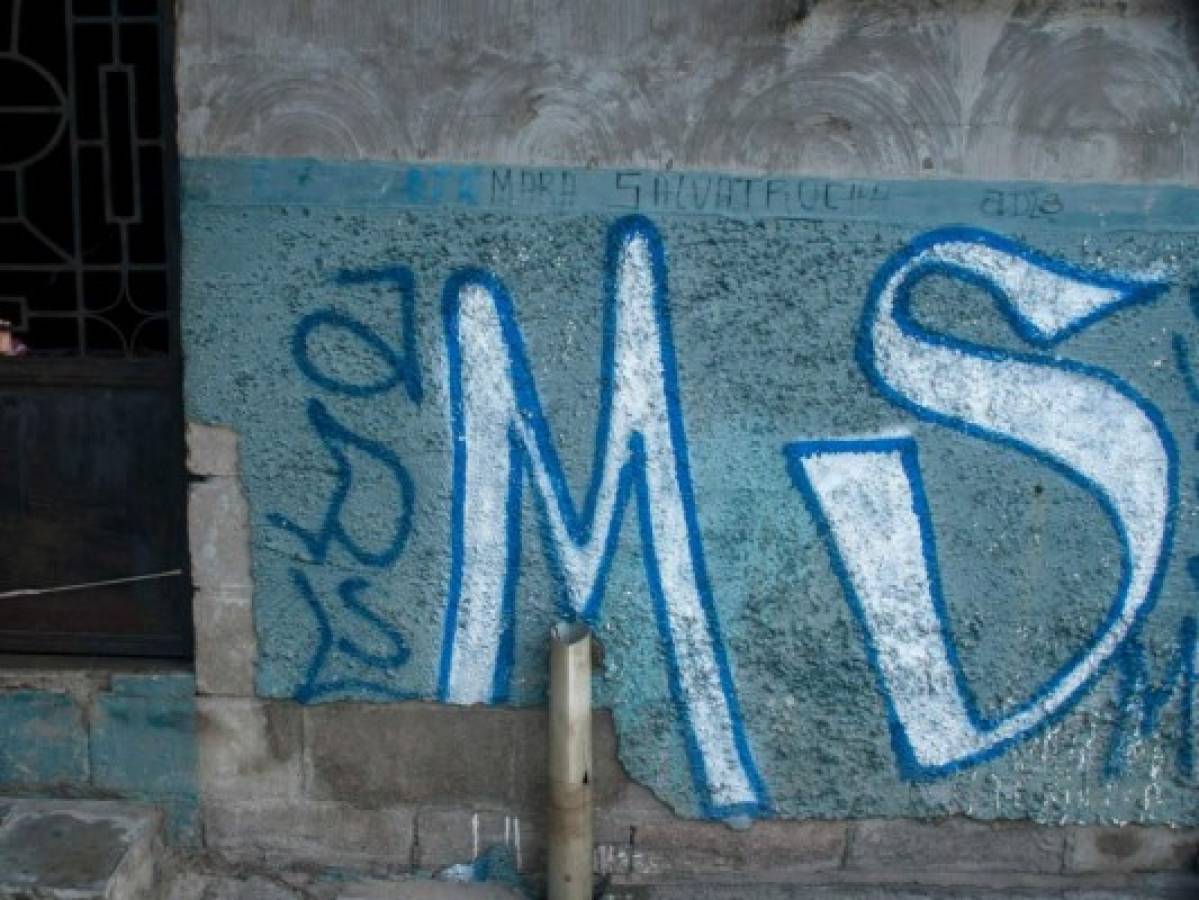 Capturan 442 miembros de la Mara Salvatrucha MS-13 en El Salvador