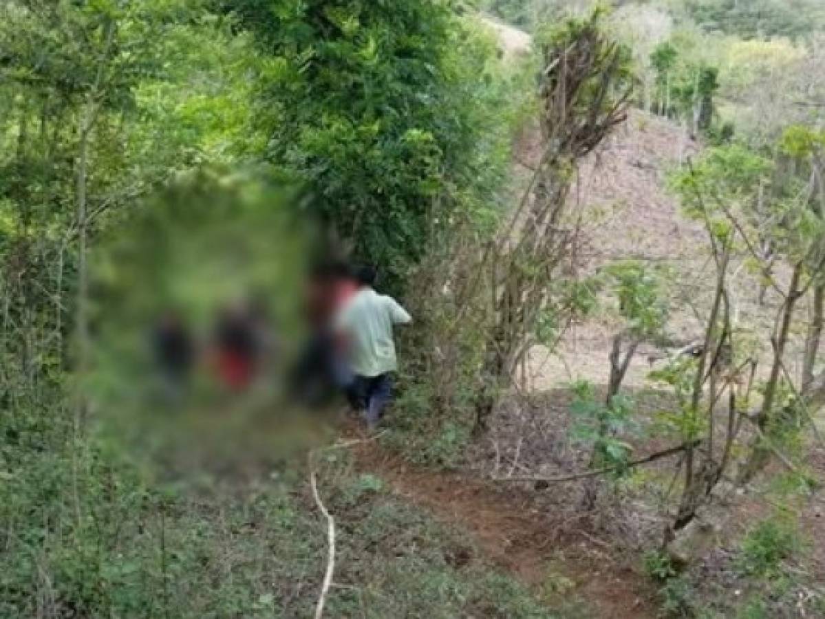 Asesinan a tres personas mientras sembraban en una milpa en Macuelizo, Santa Bárbara