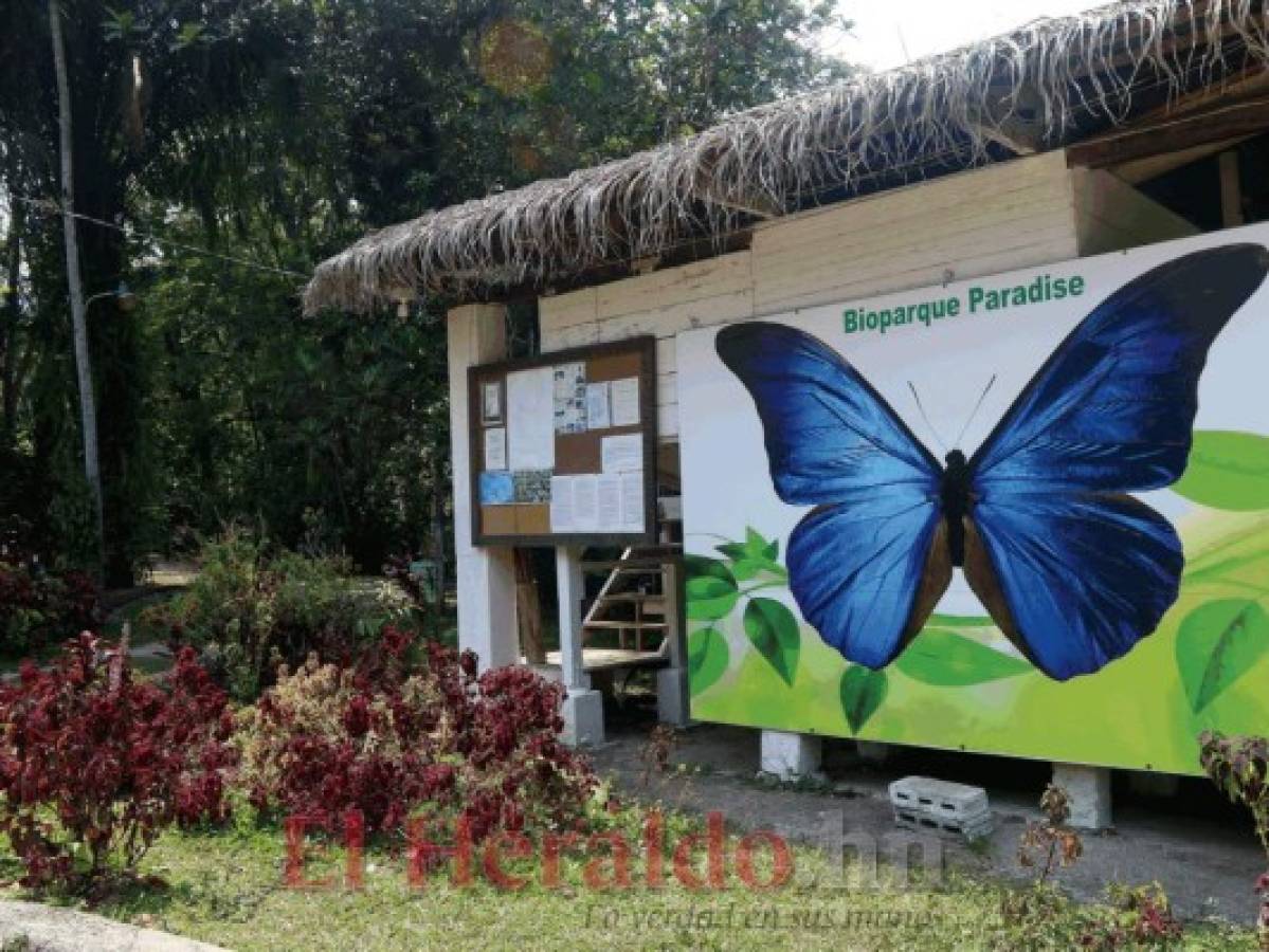 Los encantos de Bioparque Paradise y DyD Brewery en Los Naranjos