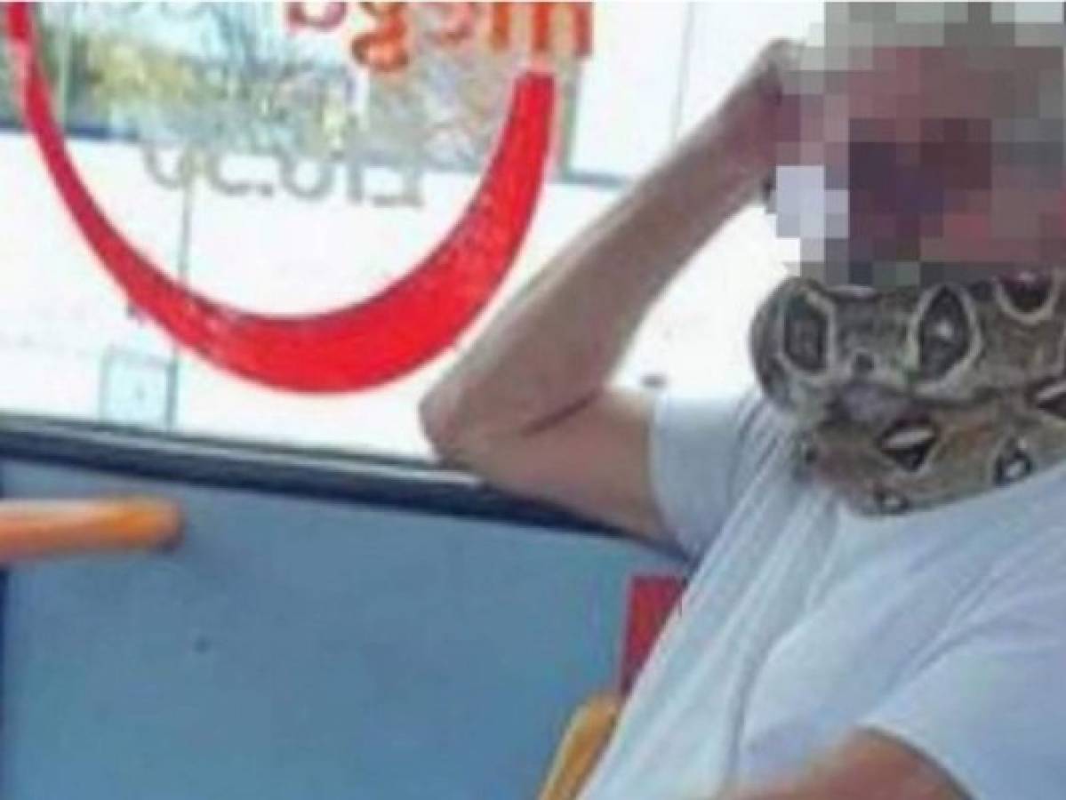 Hombre usó una serpiente como mascarilla en un bus en Inglaterra