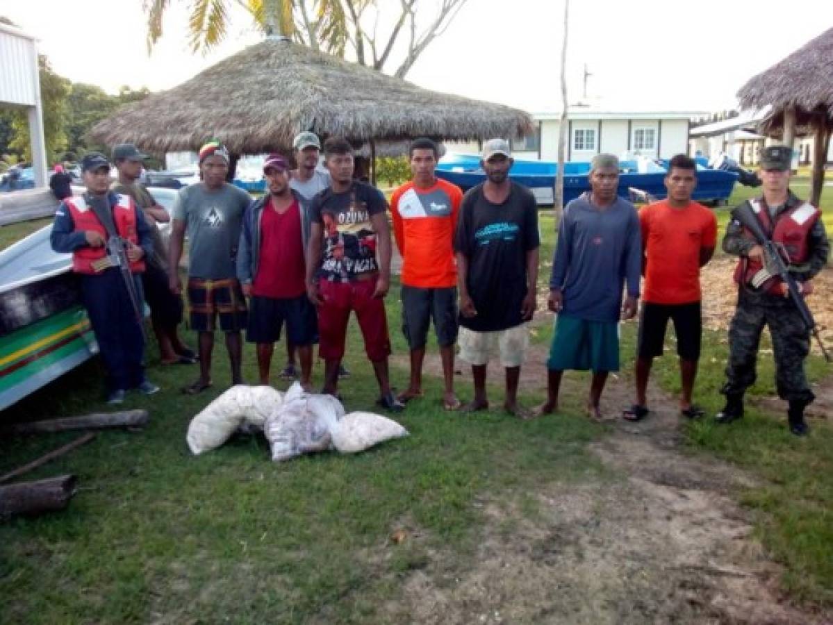 Nueve pescadores capturados por pesca ilegal llevaban tortugas Carey