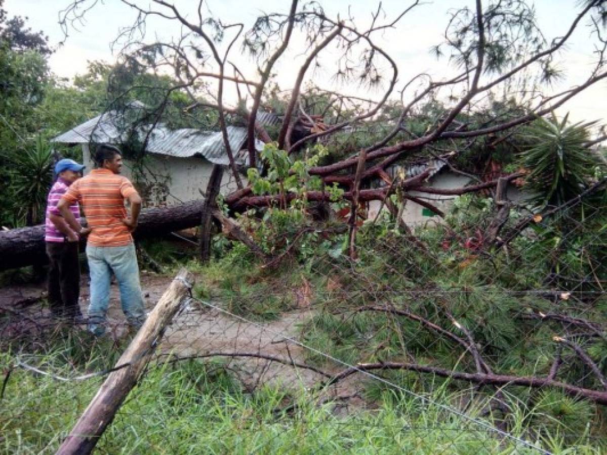 Empresa de Energía Honduras realiza trabajos de mantenimiento por fuertes lluvias