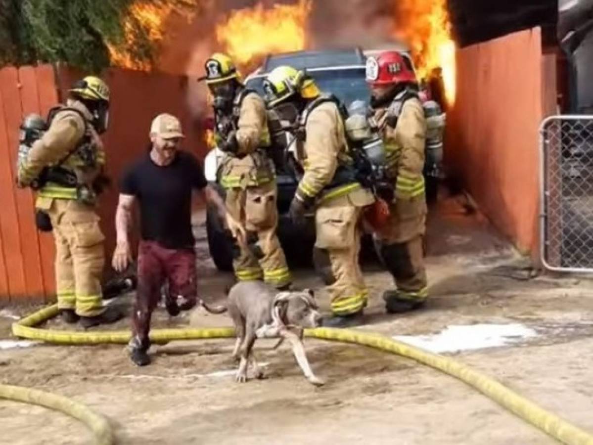 VIDEO: Hombre ingresa a una casa en llamas para rescatar a su perro