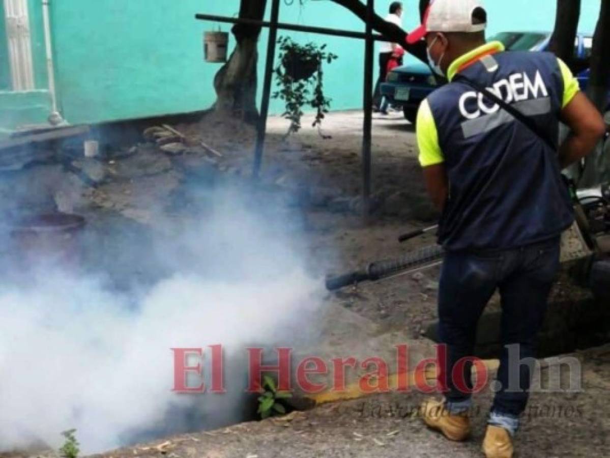 El dengue es el blanco para erradicar en 19 colonias capitalinas