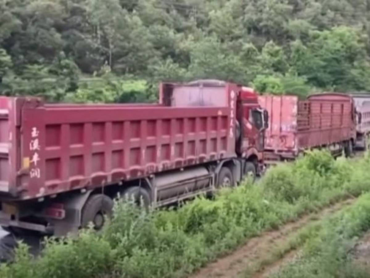 Largas filas de camiones intentan bloquear paso de elefantes salvajes en China  