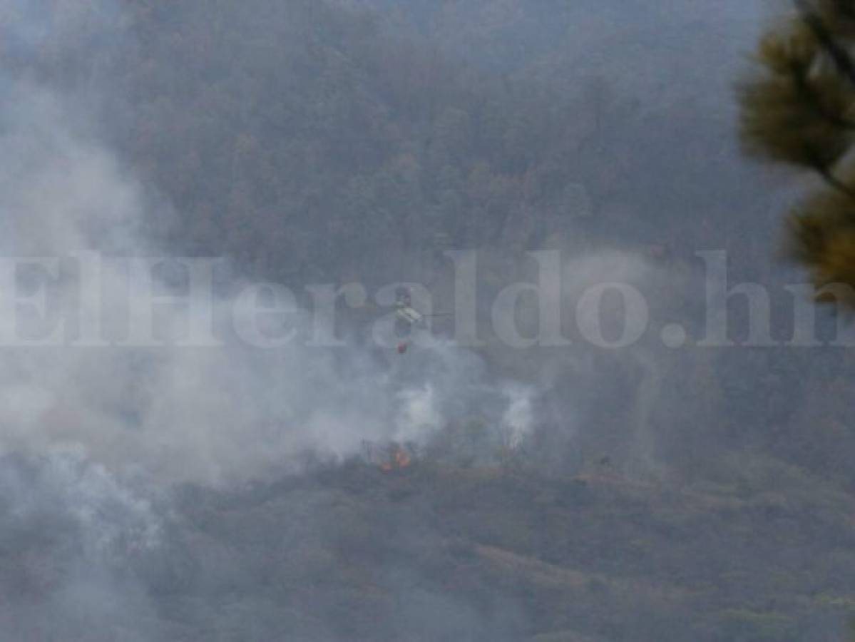 250 mil lempiras ofrecen por responsable de prender fuego al bosque El Hatillo