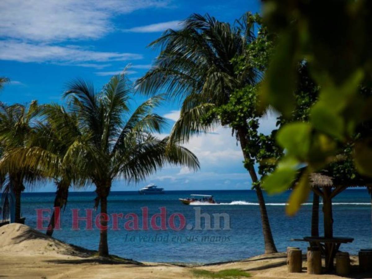 La exuberancia tropical de Roatán atrae a cientos de miles de turistas cada año. Foto: Honduras Tips.