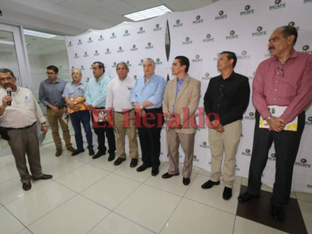 Mesa del Café pide a los productores esperar acuerdos