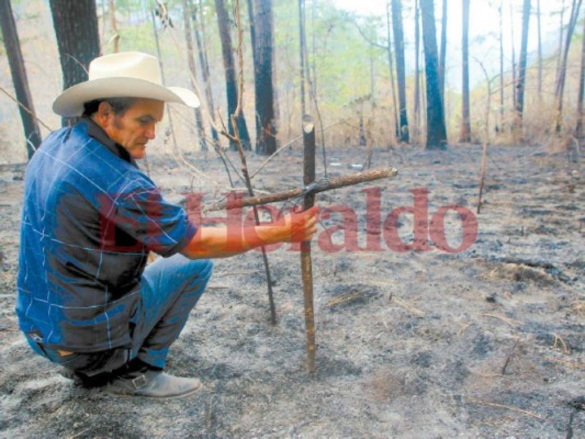 Poblador narra últimos minutos de bomberos que fallecieron quemados: 'Escuché los gritos de terror”