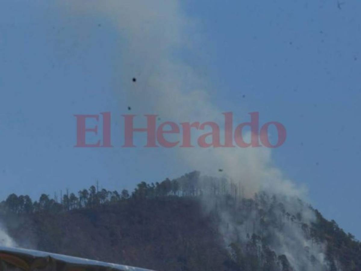 Voraz incendio de zacatera amenaza a varias viviendas en El Hatillo, en la capital de Honduras