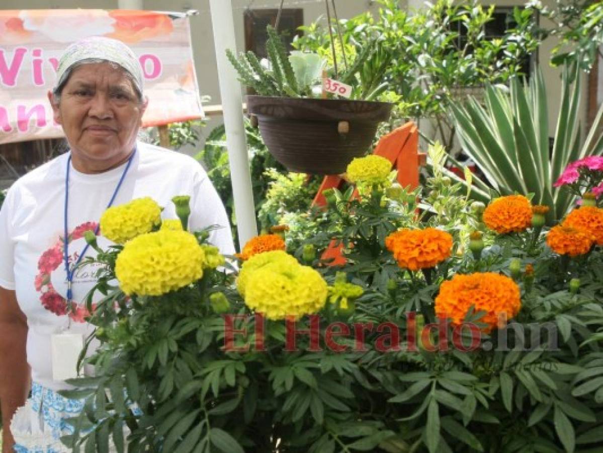 Siguatepeque conquista a turistas con colorido Festival de las Flores