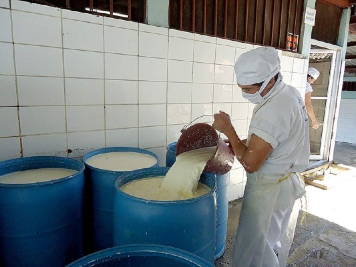 El arte hondureño de elaborar quesillo