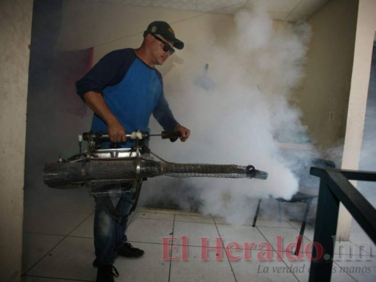 Curva de la epidemia de dengue tiende a la baja en Honduras