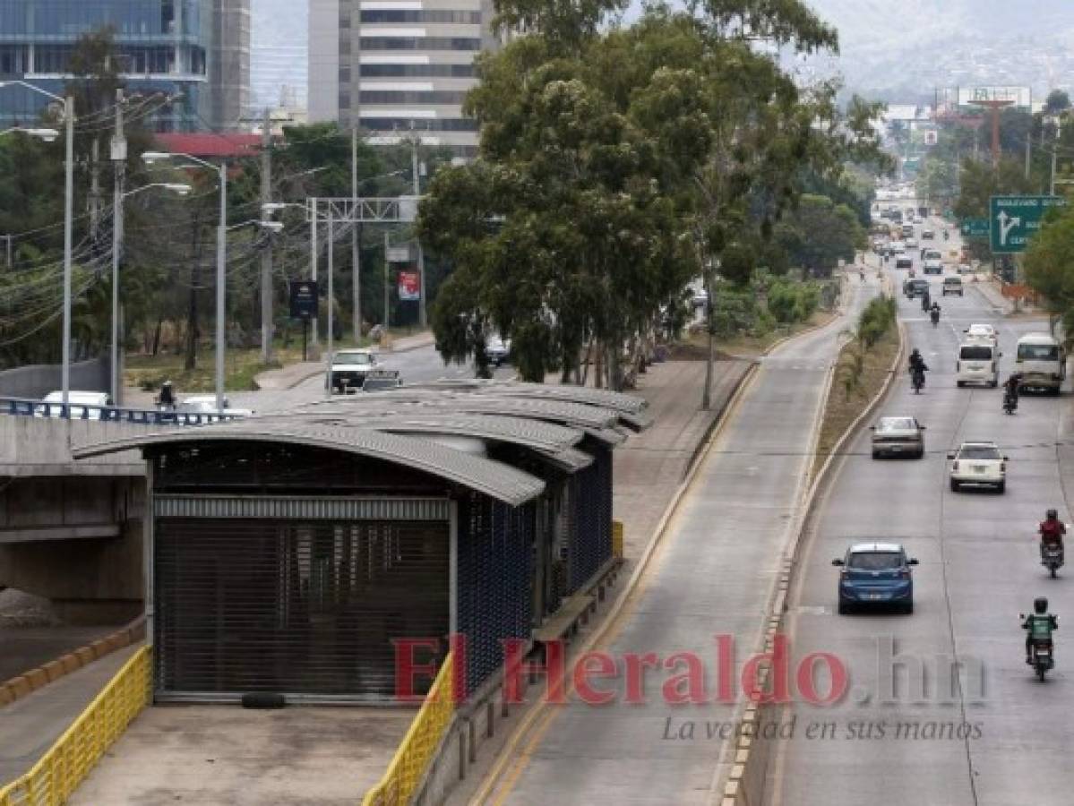 Prometen culminar obra gris del Trans-450 antes que finalice el 2021